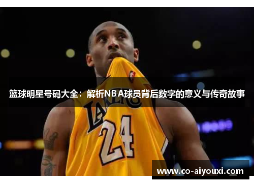 篮球明星号码大全：解析NBA球员背后数字的意义与传奇故事